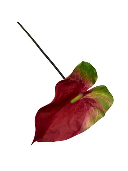 Anturium piankowe gałązka 70 cm czerwono zielone