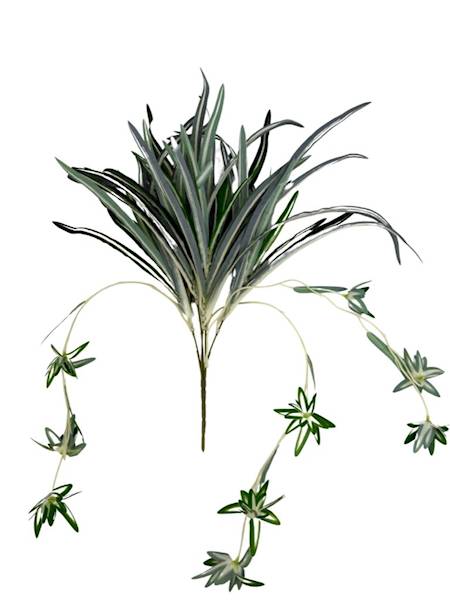 Zielistka bukiet 58 cm