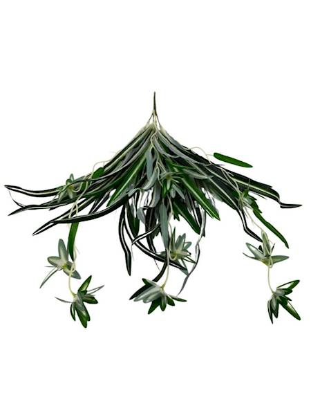 Zielistka bukiet 58 cm