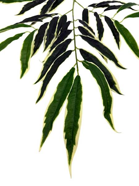 Liść XL 67 cm zielony z jasnymi obrzeżami