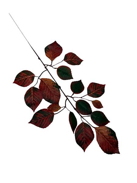 Liść buka gałązka 60 cm rudo zielony