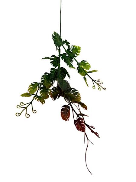 Dodatek monstera 54 cm bordo