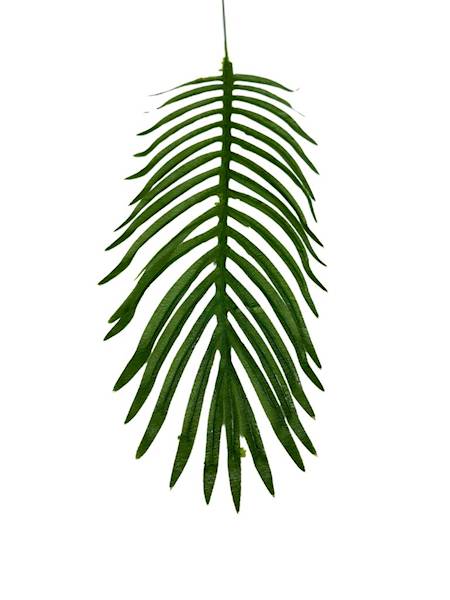 Liść palmy 52 cm