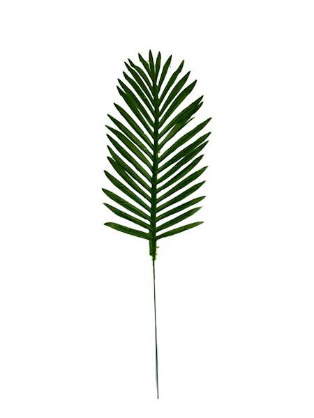 Liść palmy 52 cm