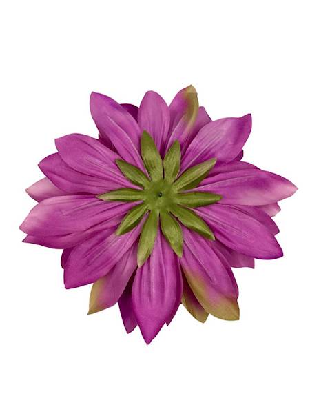 Dalia główka XXL 28 cm ciemny róż