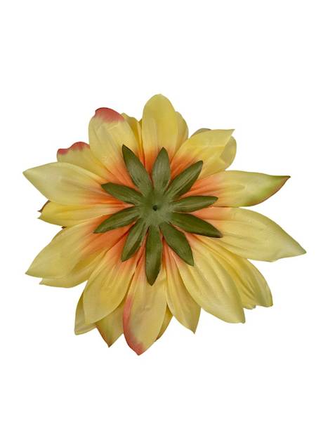 Dalia główka XXL 28 cm żółta