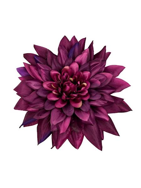 Dalia główka XXL 28 cm purpurowa