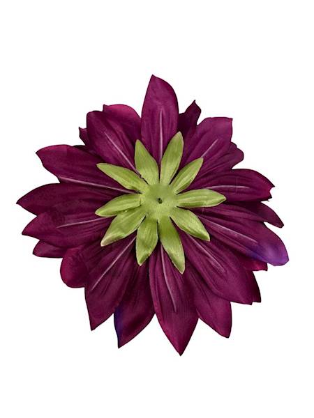 Dalia główka XXL 28 cm purpurowa