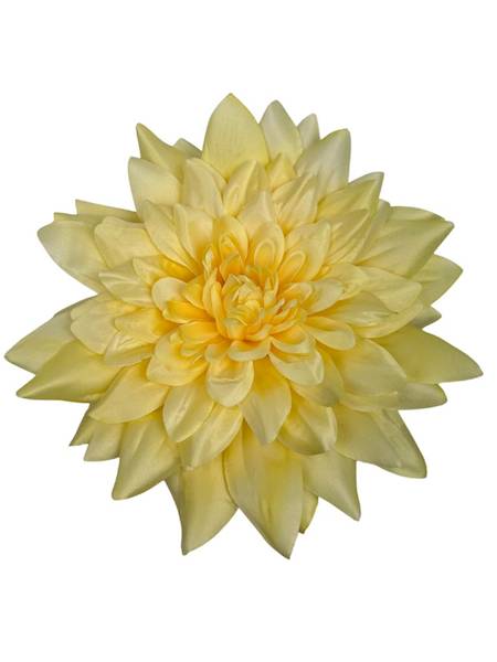 Dalia główka XXL 28 cm jasny żółty
