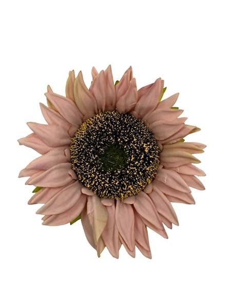 Słonecznik główka 13 cm brudny róż