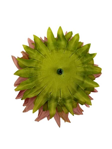 Słonecznik główka 13 cm brudny róż