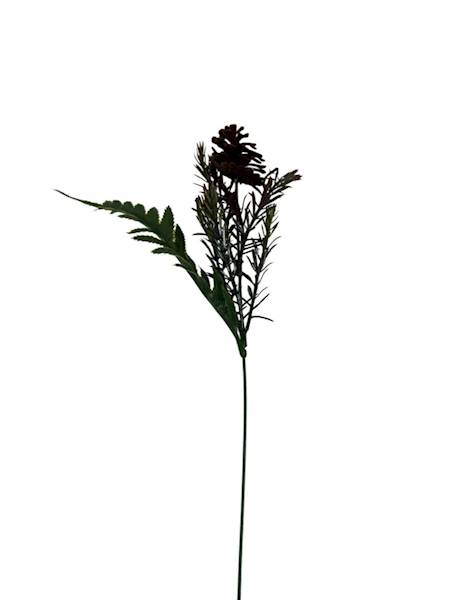 Dodatek szyszka 44 cm bordo