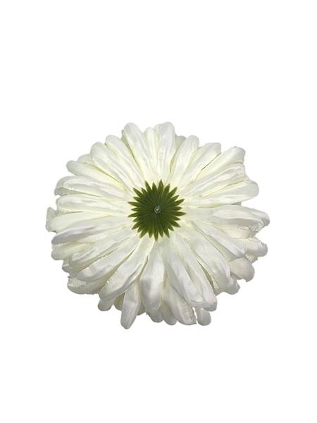 Chryzantema główka XL 16 cm biała z zielonym