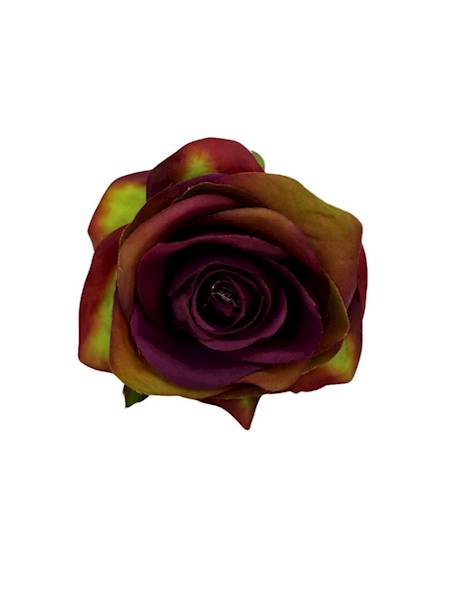 Róża główka 9 cm purpurowo zielona
