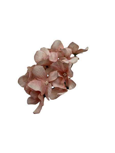 Hortensja główka 13 cm jasny róż