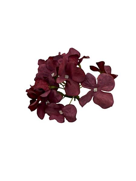 Hortensja główka 13 cm jasne bordo