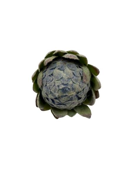 Protea główka 10 cm niebieska