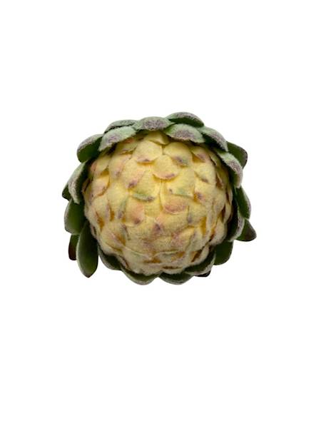 Protea główka 10 cm krem róż zielony
