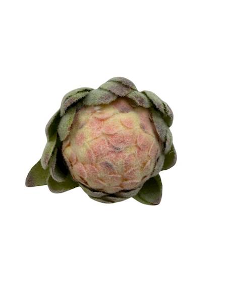 Protea główka 10 cm róż krem zielony