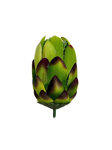 Protea główka wys.10 cm zielona