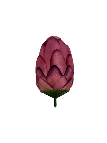 Protea główka wys. 10 cm brudny róż