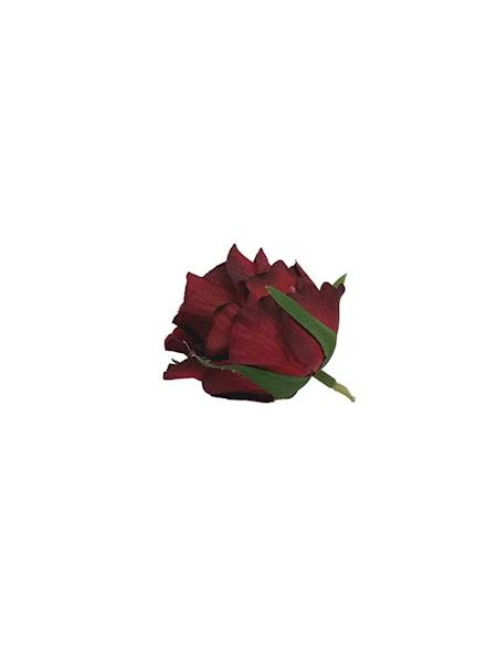 Róża główka 5 cm ciemna czerwień
