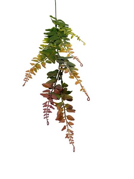 Paproć gałązka 60 cm jesienna
