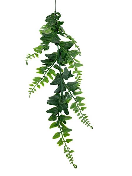Paproć gałązka 60 cm zielona