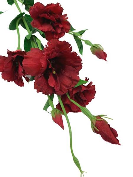 Eustoma gałązka 80 cm czerwona