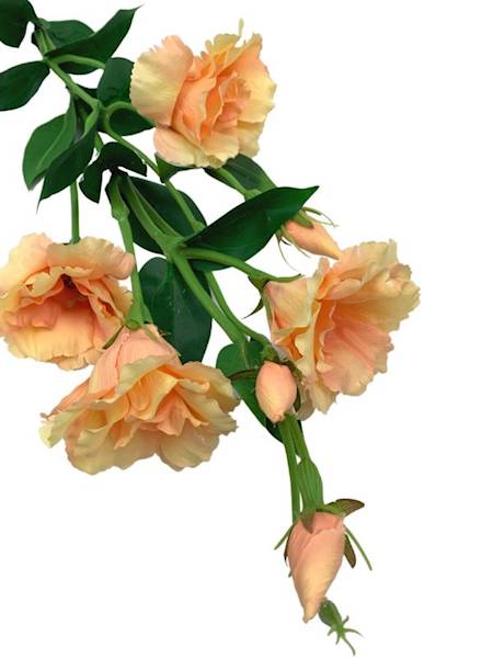 Eustoma gałązka 80 cm brzoskwiniowa