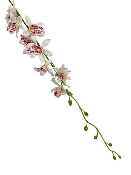 Storczyk tajlandzki 70 cm biało różowy