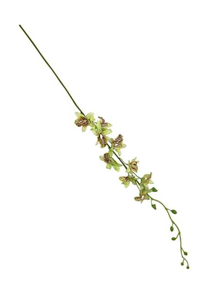 Storczyk tajlandzki 70 cm jasny zielony