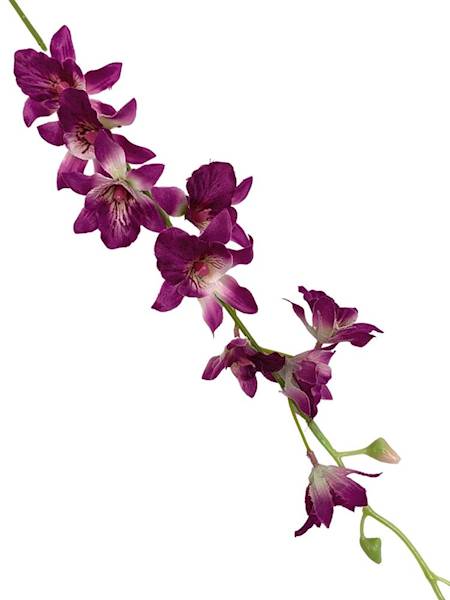 Storczyk tajlandzki 70 cm ciemny róż