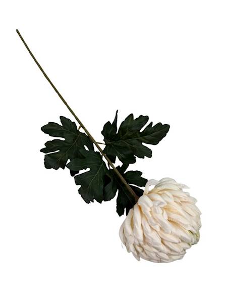 Chryzantema gałązka 74 cm kremowa z zielonym