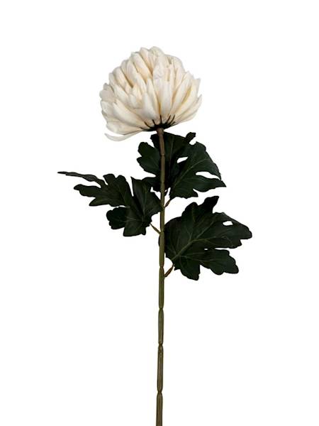 Chryzantema gałązka 74 cm kremowa z zielonym