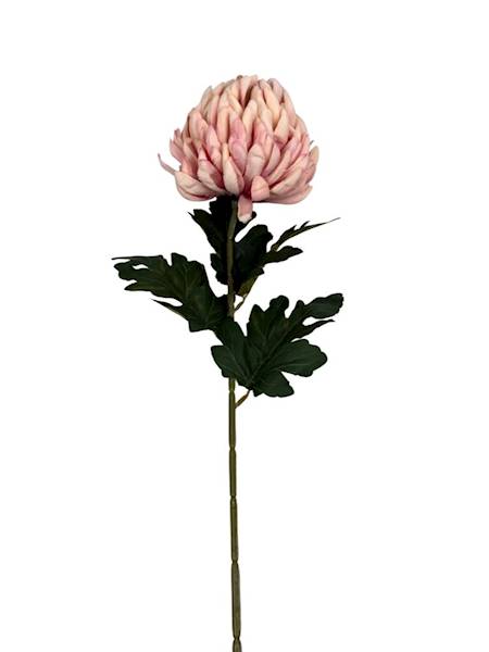 Chryzantema gałązka 74 cm pudrowy róż