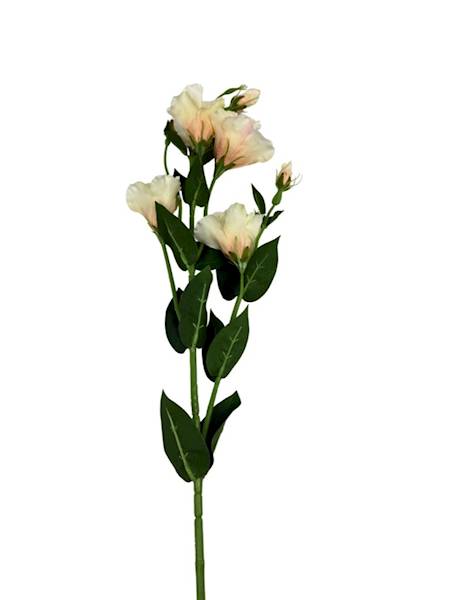 Eustoma gałązka 80 cm jasna brzoskwinia