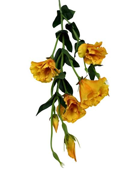 Eustoma gałązka 80 cm żółta