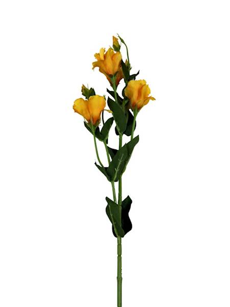 Eustoma gałązka 80 cm żółta