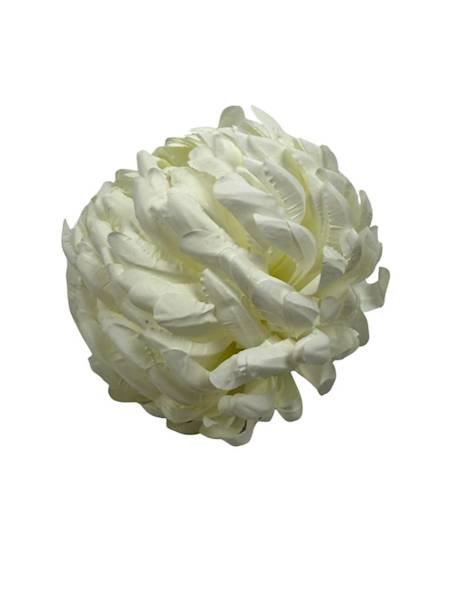 Chryzantema główka 13 cm biała