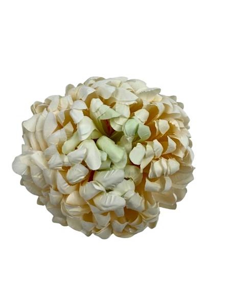 Chryzantema główka 13 cm kremowa z jasno zielonym