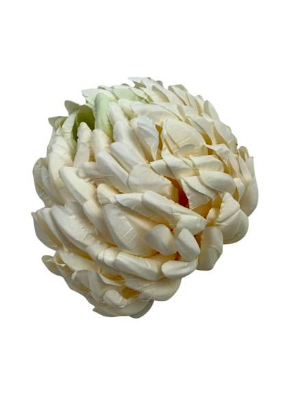 Chryzantema główka 13 cm kremowa z jasno zielonym