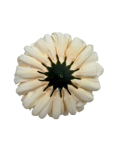 Chryzantema główka 13 cm kremowa z jasno zielonym