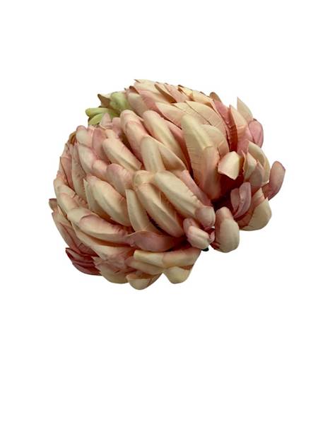 Chryzantema główka 13 cm pudrowy róż