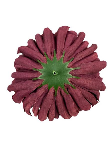 Chryzantema główka 13 cm bordo