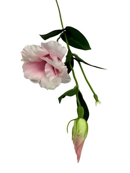 Eustoma gałązka 48 cm perłowy róż