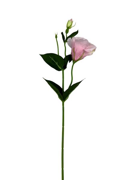 Eustoma gałązka 48 cm perłowy róż