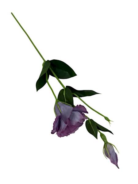 Eustoma gałązka 48 cm odcienie fioletu
