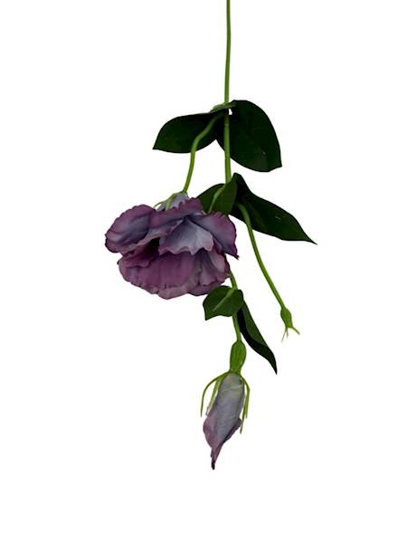 Eustoma gałązka 48 cm odcienie fioletu