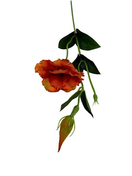 Eustoma gałązka 48 cm pomarańcz